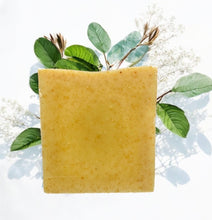 Load image into Gallery viewer, Bar of soap with green leaves and plants in the background. Natural beef tallow soap bars (3 for $20) made with grass-fed tallow for deeply moisturizing, non-toxic skincare. Ideal for dry skin, sensitive skin, and eczema relief.