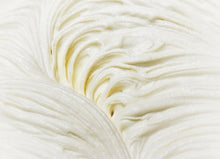 Load image into Gallery viewer, close up of whipped body butter