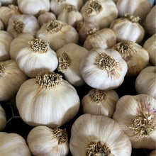 Load image into Gallery viewer, organic garlic seed for planting garden garlic
