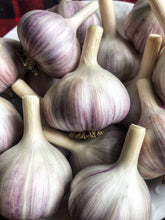 Load image into Gallery viewer, Hard neck organic garlic music Siberian and red Russian.