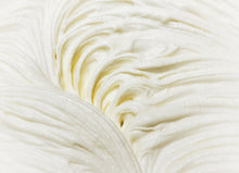Load image into Gallery viewer, close up of whipped body butter 
