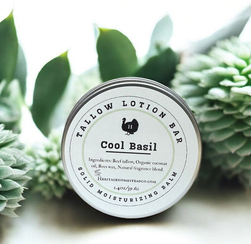 photo of cool basil scented tallow lotion bar in a tin with green succulent background. 