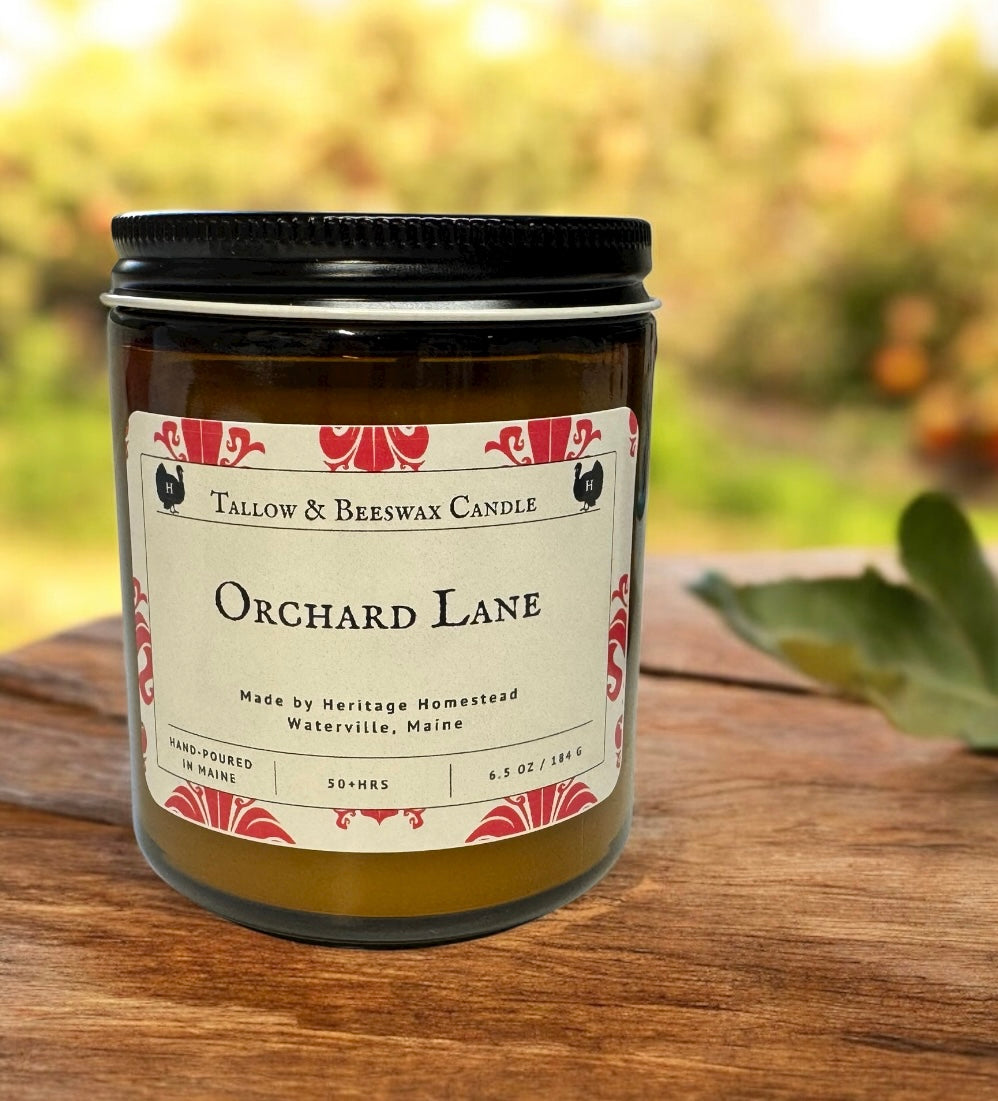 tallow and beeswax Candle labeled 'Orchard Lane' on a wooden surface with a blurred natural background