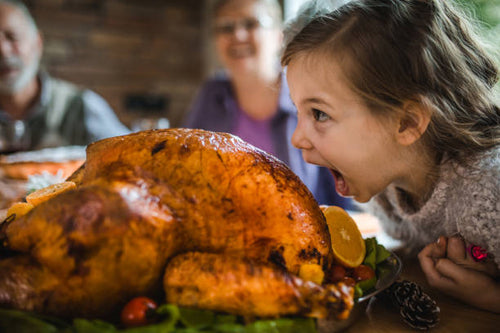 Maine farm raised thanksgiving whole turkey 