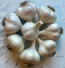 Load image into Gallery viewer, hard neck seed garlic fresh organic garlic 
