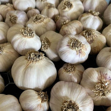 Load image into Gallery viewer, organic garlic seed for planting garden garlic 

